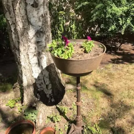 Designer With Parking & Terrace Appartement Berlijn