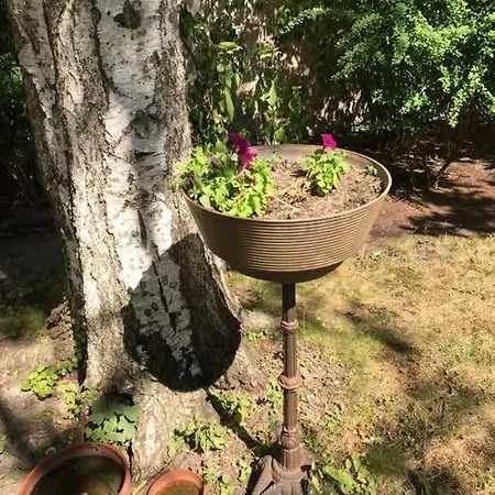 Апартаменты Designer With Parking & Terrace Берлин